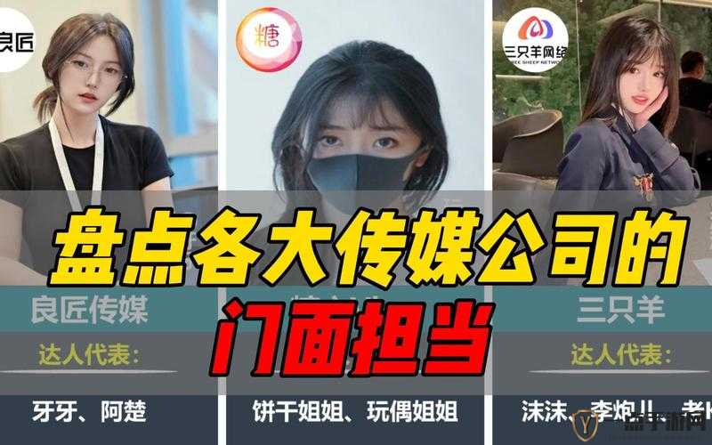 无忧传媒：短视频领域的领军者，成就非凡