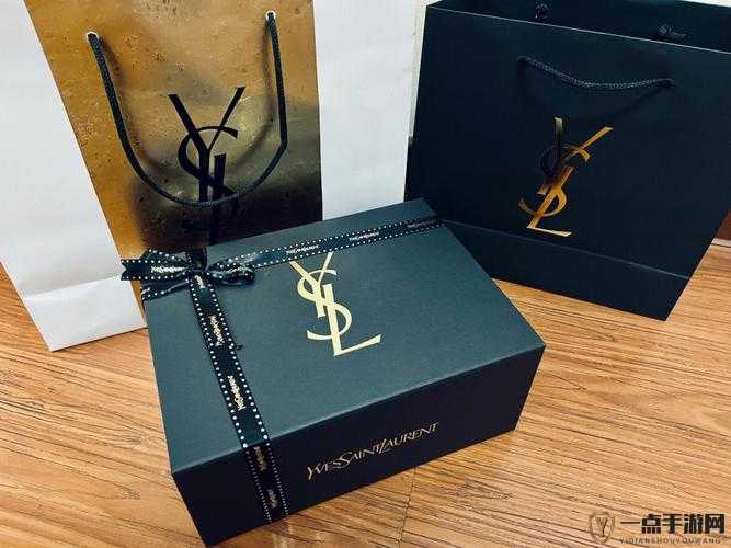 YSL 千色 T9T9T9 观看范围：探索时尚与美的边界