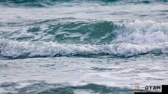 浪花一阵接一阵地涌过来，波涛汹涌景象震撼人心