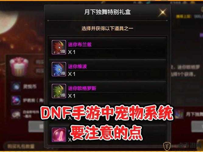 DNF手游全面解析，宠物获取途径及攻略大全详解